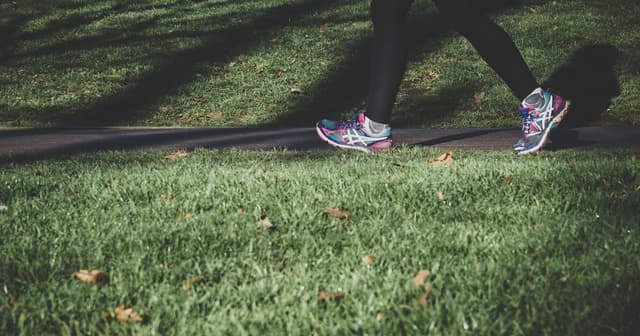 30-Minute Walking Workout for Weight Loss