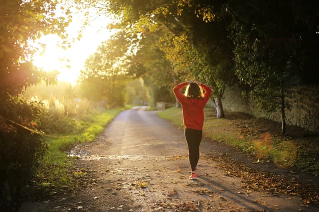 Calories Burned Walking: 30 Minutes, 1 Hour, and Beyond