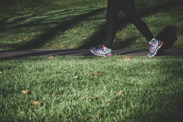 How Many Steps a Day to Lose Weight Calculator: Your Exact Number