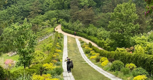 Is Walking Good for Lower Back Pain? A Full Guide (2026)