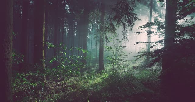 12 Mental Benefits of Walking, Backed by Science