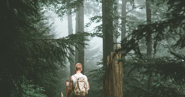 Rucking Benefits: Burn 2-3x More Than Walking (2026)