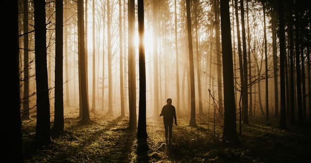 Silent Walking Benefits: The TikTok Trend Backed by Science