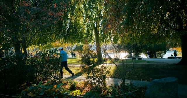 Walking 20 Minutes a Day: Benefits & Is It Enough?