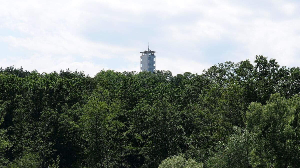 Müggelturm über dem Wald der Müggelberge in Berlin-Köpenick