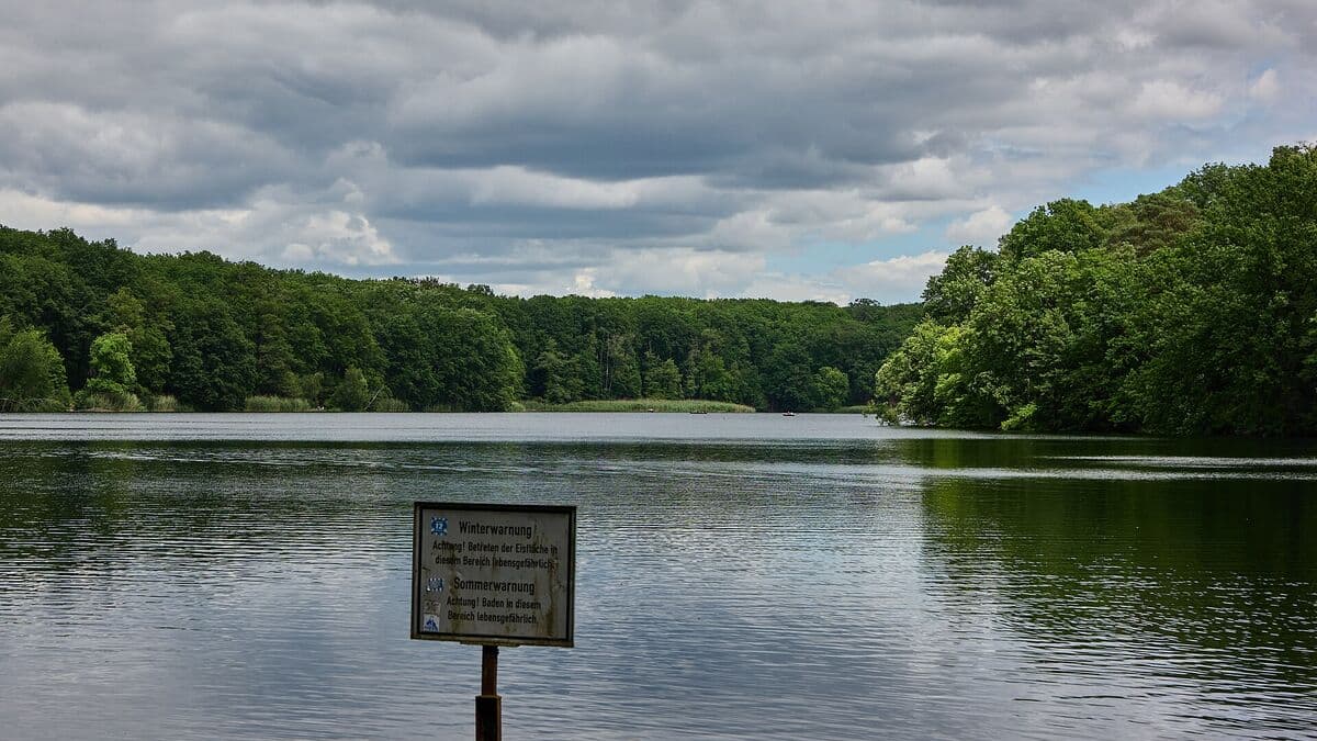 Schlachtensee in Berlin mit bewaldetem Ufer an einem Sommertag