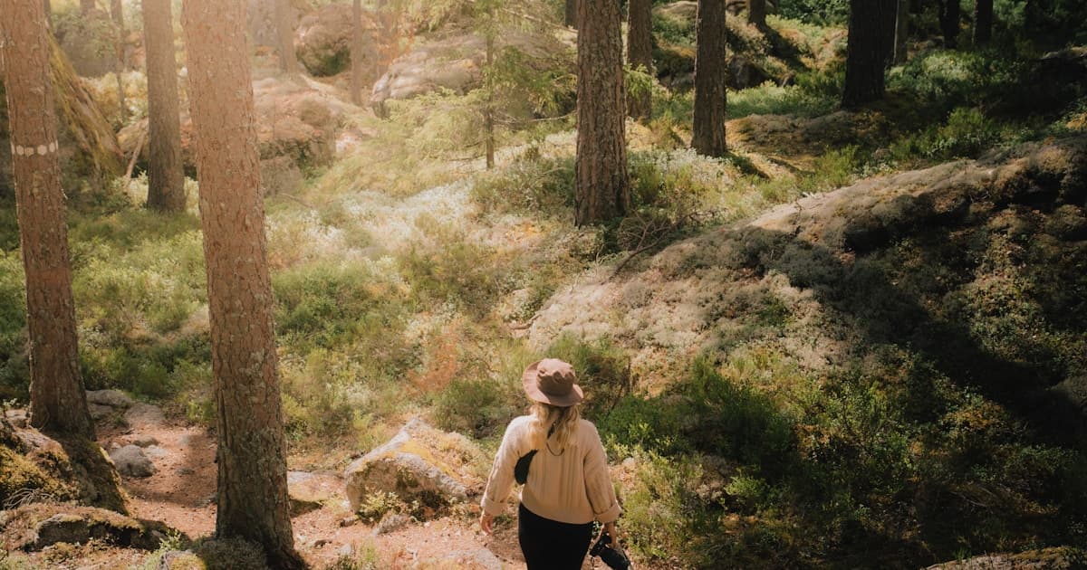 Benefits of Walking Everyday: What Science Says