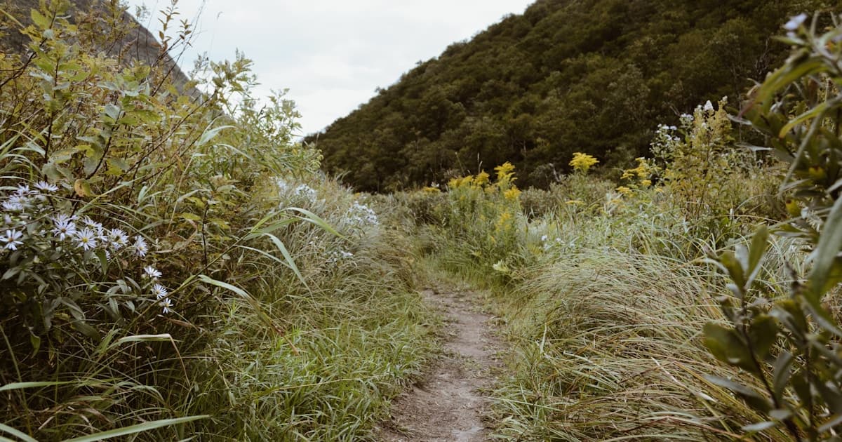 10km Walk Calories Burned: Exact Numbers by Weight and Pace (2026)