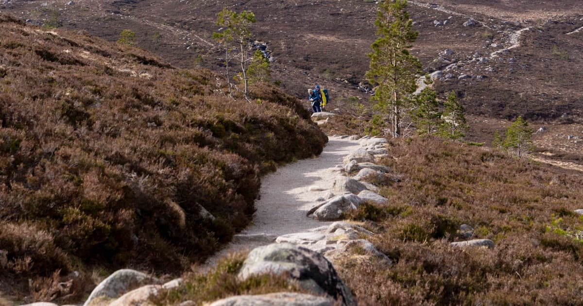 How Long Does It Take to Walk 1 km? (2026 Guide)