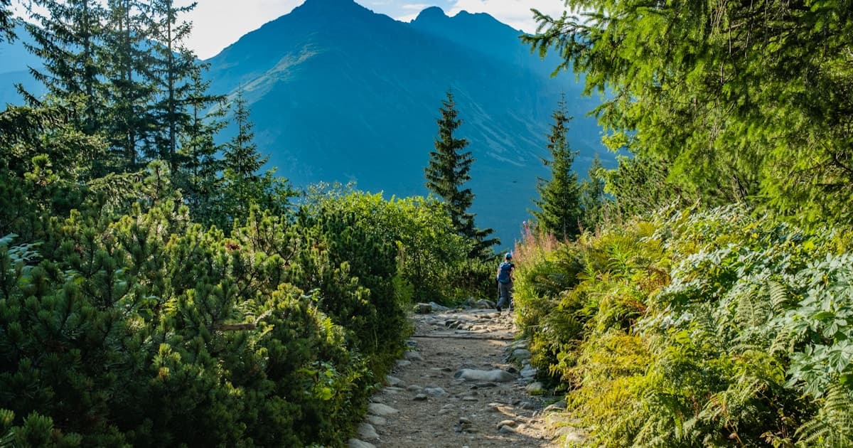 How Long Does It Take to Walk 12 km? (2026 Guide)