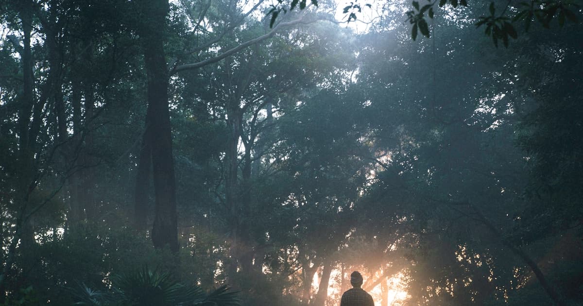 How Many Steps in 5 km? ~6,300-7,000 Steps (Plus Calculator)