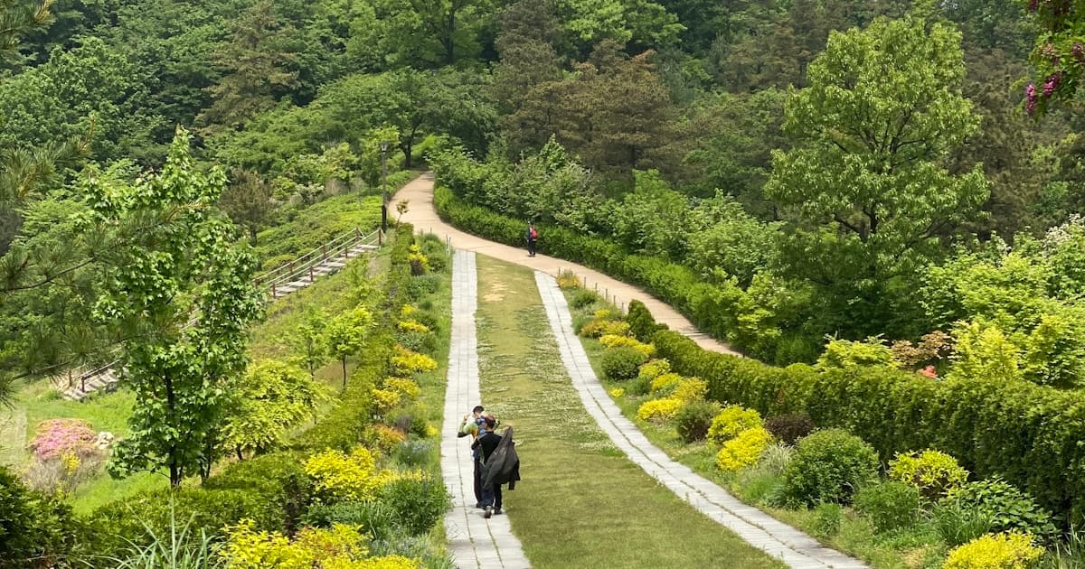 Is Walking Good for Lower Back Pain? A Full Guide (2026)