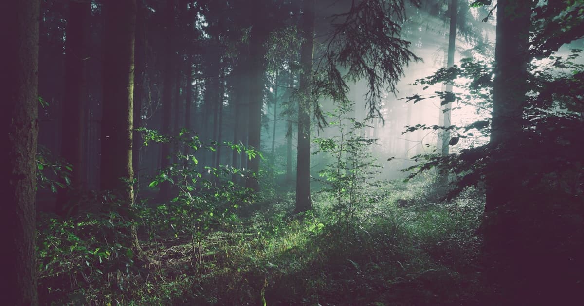 12 Mental Benefits of Walking, Backed by Science