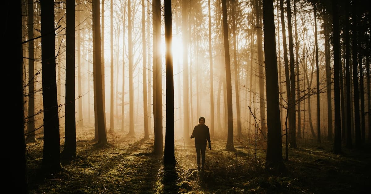 Silent Walking Benefits: The TikTok Trend Backed by Science