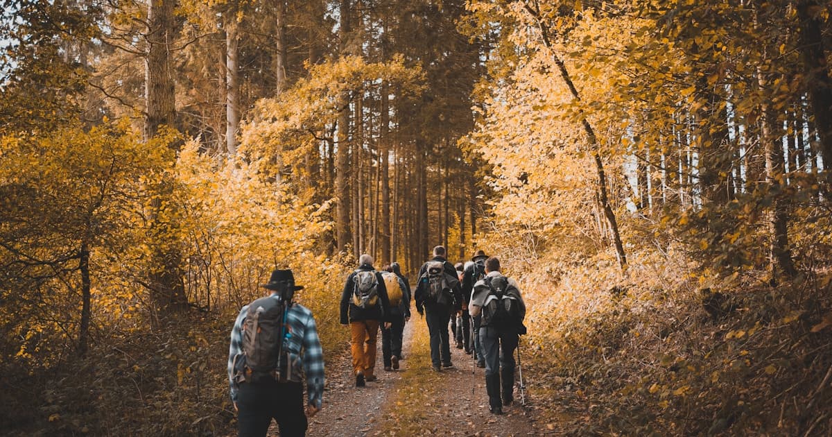 Walking 5 Miles a Day: Benefits & Results (2026)