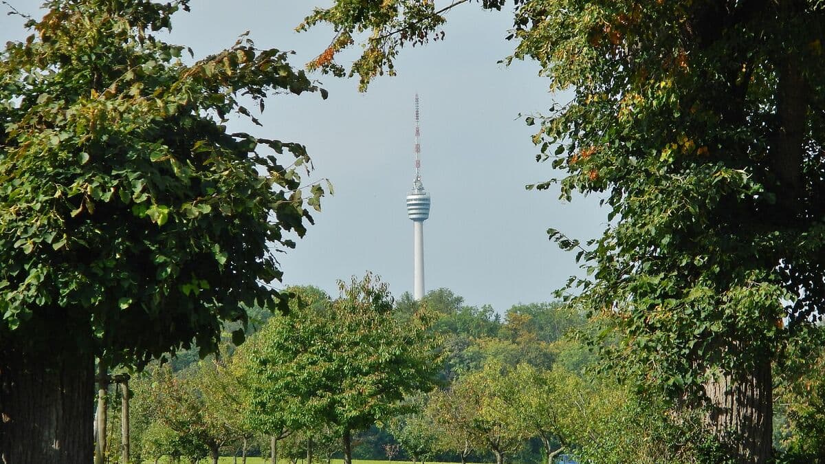 Stuttgarter Fernsehturm zwischen Bäumen hinter einer Wiese